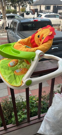 Fisher price Booster Chair
