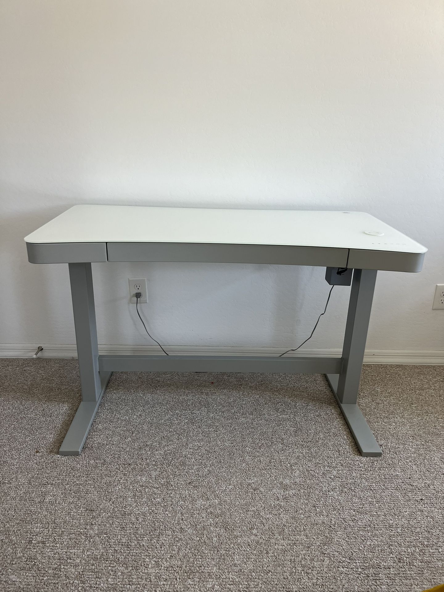 Twin Star Home Electric Adjustable Standing Desk