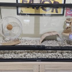 36Lx19Hx18W Glass Hamster/Reptile Cage