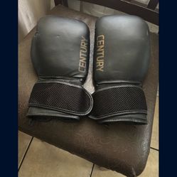 Boxin Glove Century