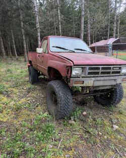 1984 Toyota Pick-Up