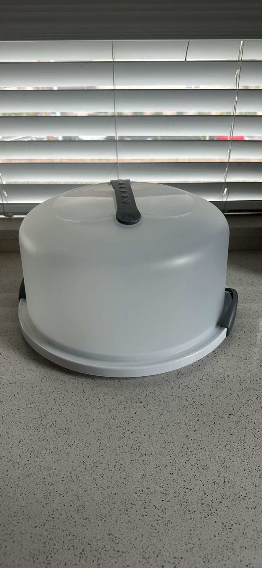 Cake Holder & Rotating Stand