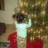 Stedman