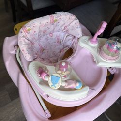 Princess Walker & Car Seat Covers