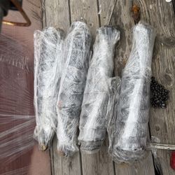 Bronco Stock Shocks And Springs 