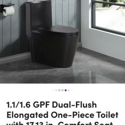 Black Toilet