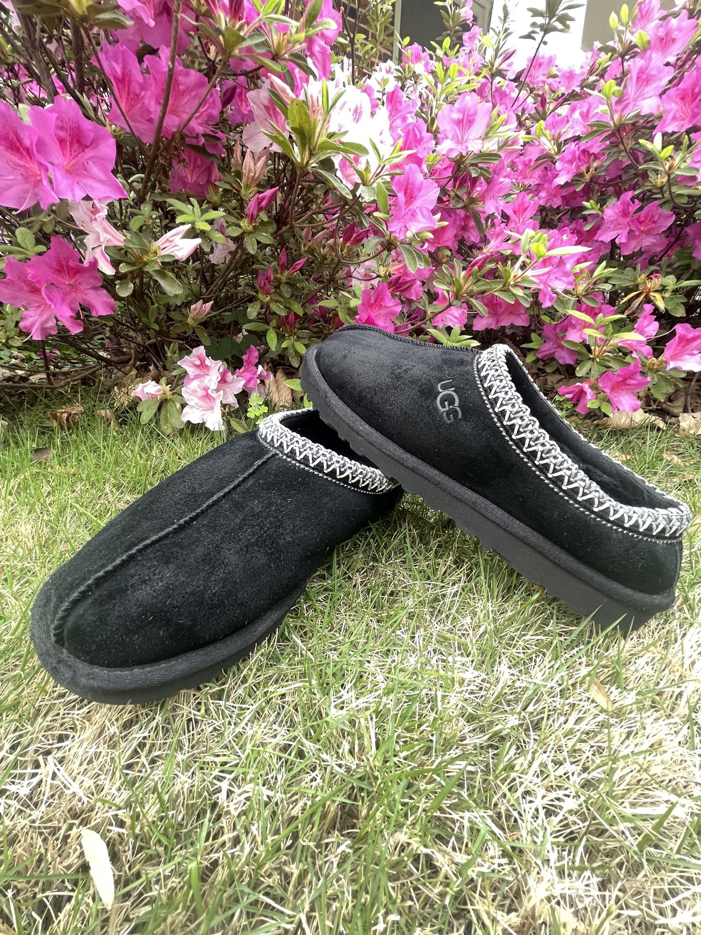 UGG TASMAN