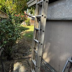 Ladder 10ft