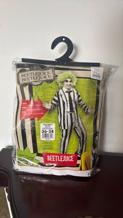 Beetlejuice Halloween costume Size LARGE