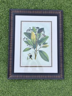 Picture Frame