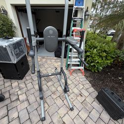 Golds gym power tower