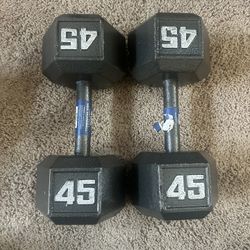 45lb Dumbbells