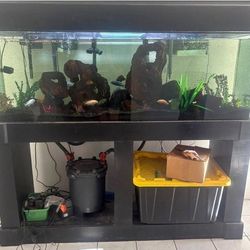 Fish tank