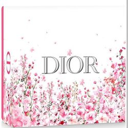 Dior Gift Box