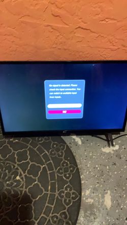 29 inch lg