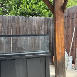 45 Gallon Aquarium Only