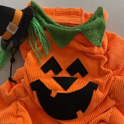 XL PET COSTUME PUNPKIN 
