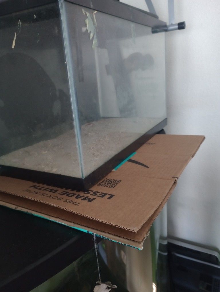 10 Gallon Fish Tank