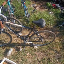 Royale Bicycle 50.00