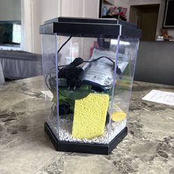 Betta Fish Tank
