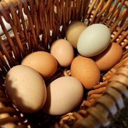 Eggs