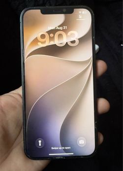iPhone 12 Pro Max