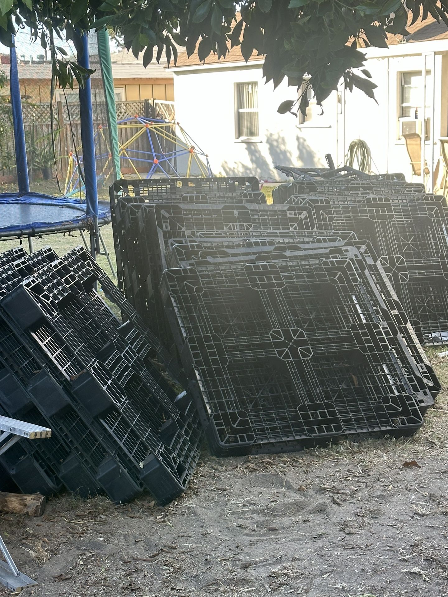 Free Pallet