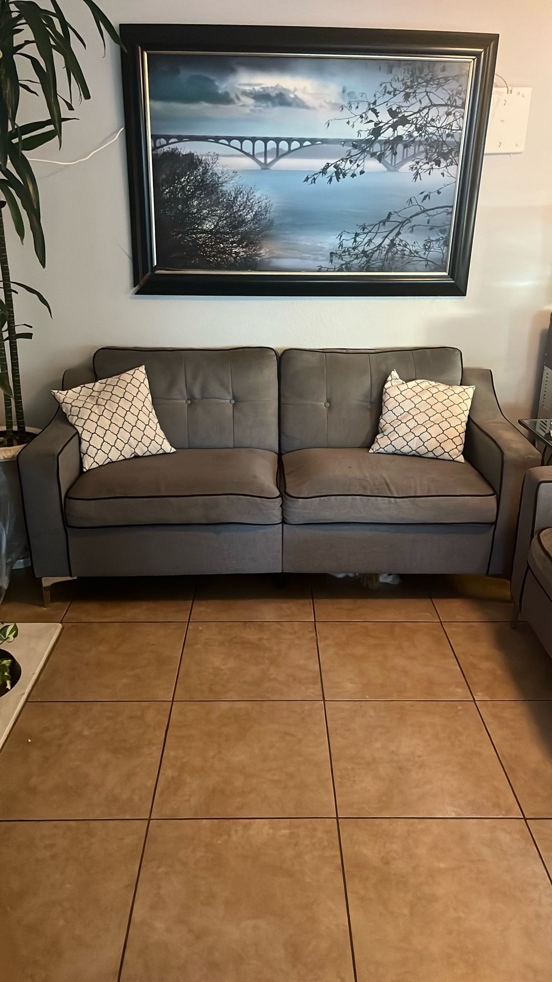 Two Couches