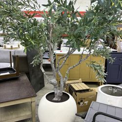 Artificial Olive Tree in White Round Planter
