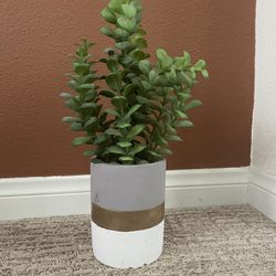 Modern faux Plant 