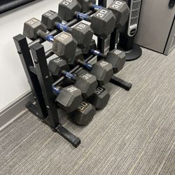 Dumbbells (350 Pounds Total) + Stand