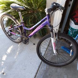 Girls Schwinn 7 Speed Mountain Bike