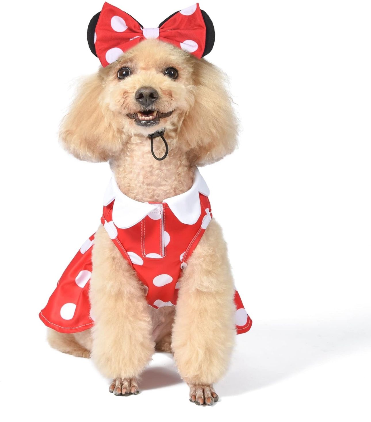 Disney for Pets Minnie Mouse Halloween Costume for Dogs - Extra Large | Disney Halloween Dog Costumes, Funny Pet Costumes | Officially Licensed Disney