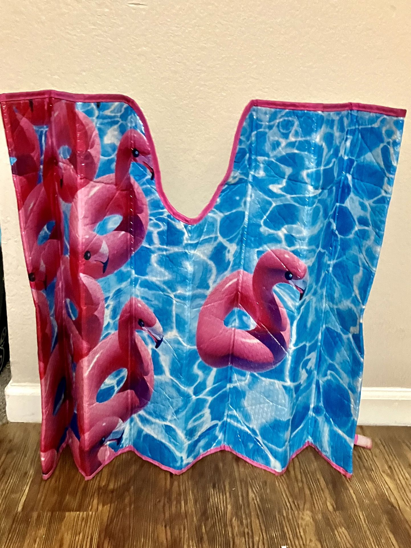 Windshield Visor For Average Car