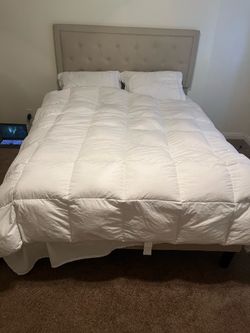 Light Beige Bed