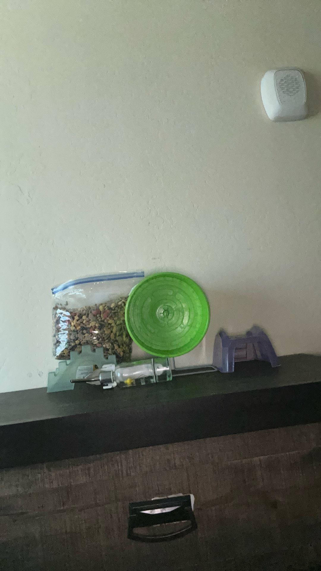 Hamster Food, And Accessories