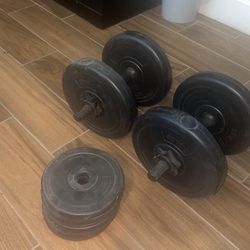 Dumbbells- Adjustable Weight (5-40lb) Price Not Firm