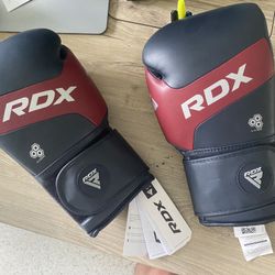 RDX 10oz Boxing Gloves 