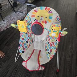 Baby Bouncer
