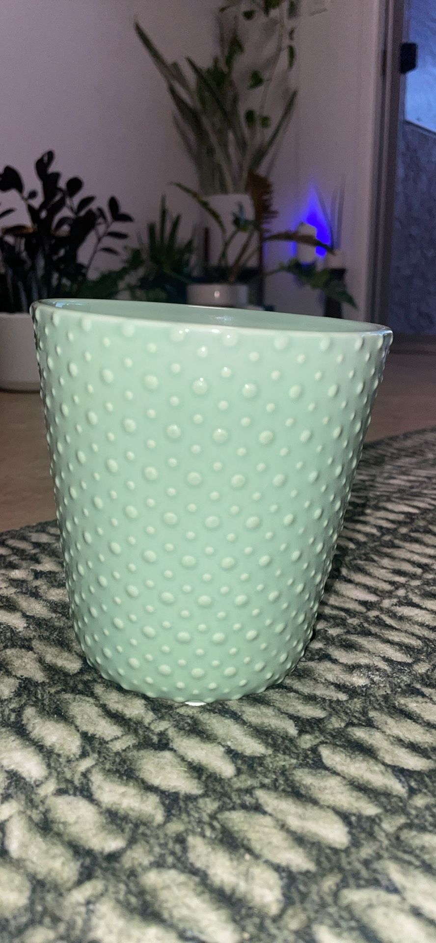5 Inch Ceramic Plant Pot
