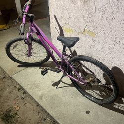 Hotrock Girl Bike 