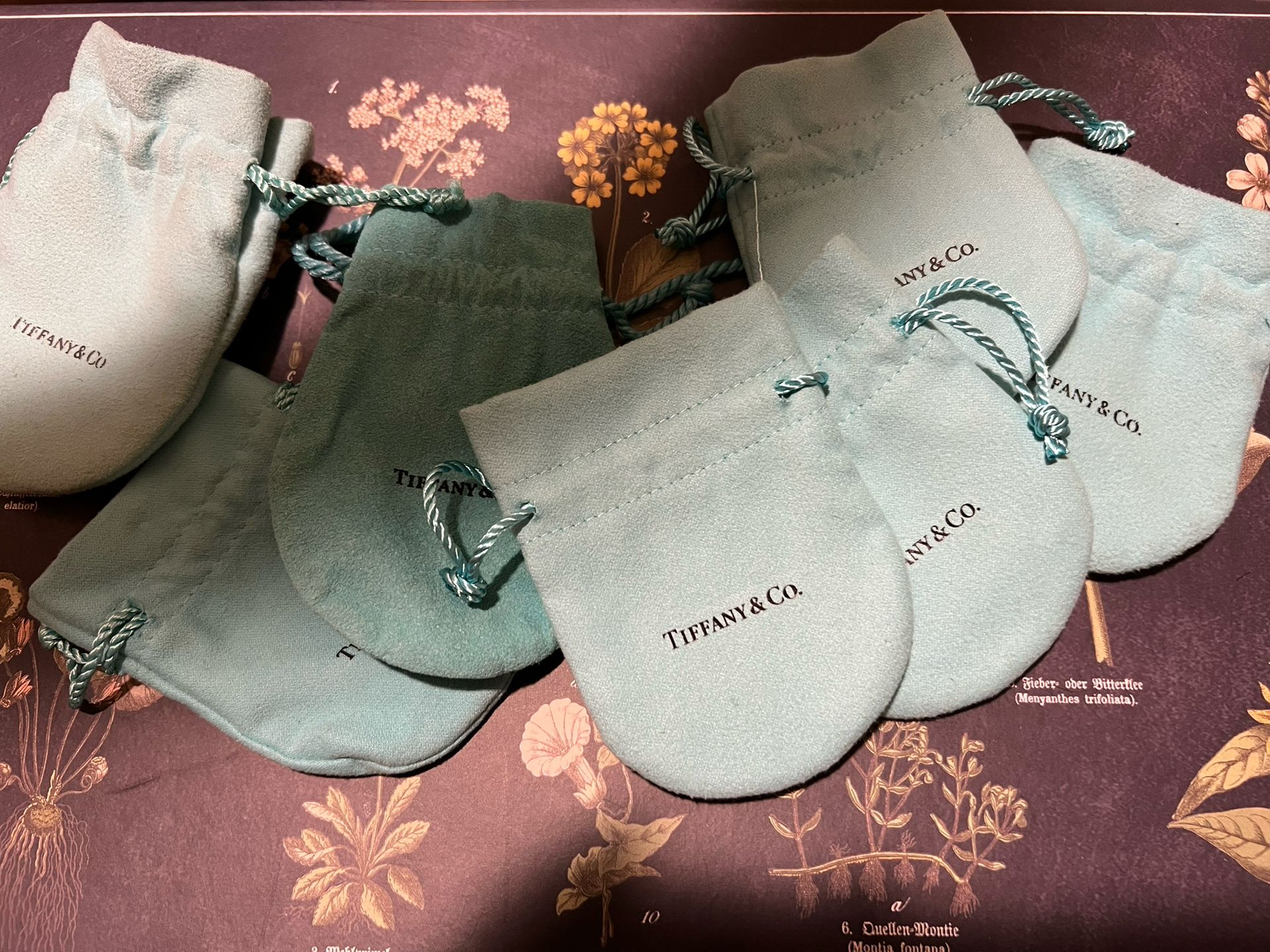 Tiffany Jewelry Pouches