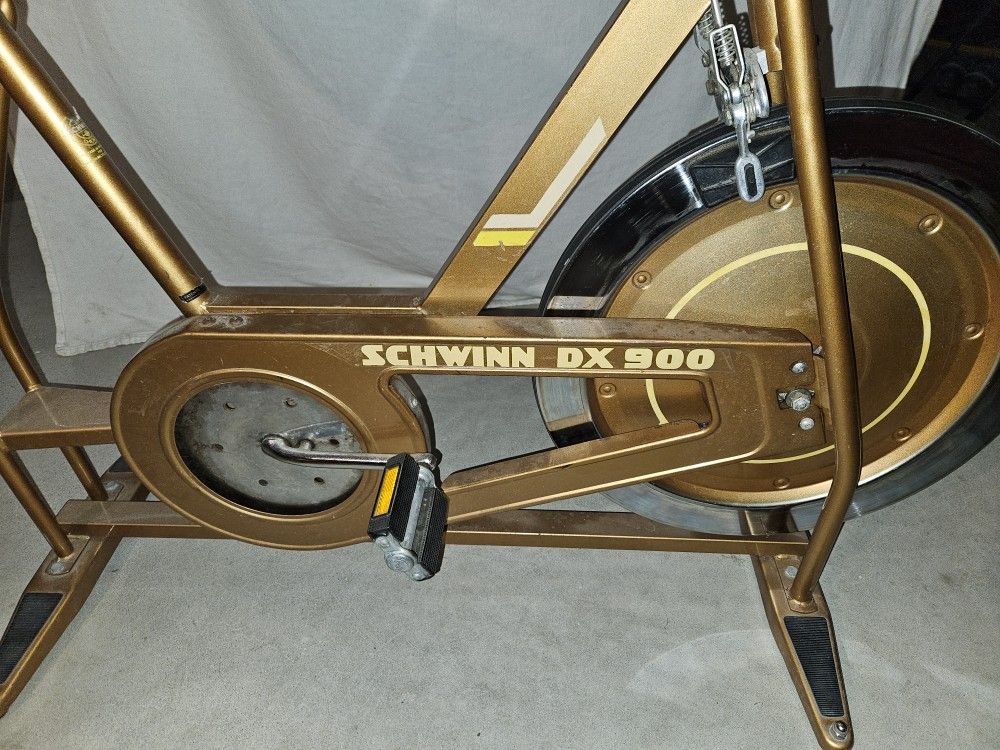 Schwinn DS 900 Vintage Exercise Bike 