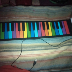 Silicone roll up keyboard