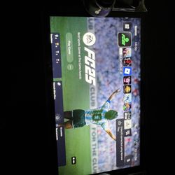 PlayStation Portal With Case 