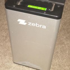 Zebra Scooter (battery)