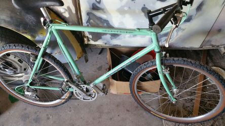 Bonacci Peregrine 21 speed mountain bike