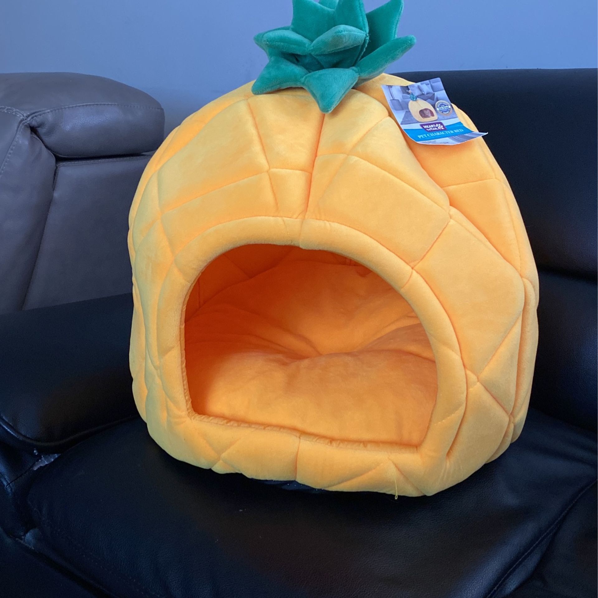 Cat house