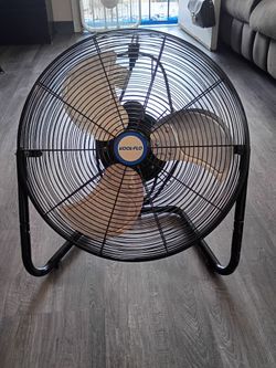 Fan