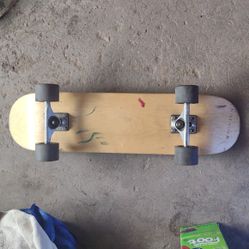Skateboard w Long Board Wheels
